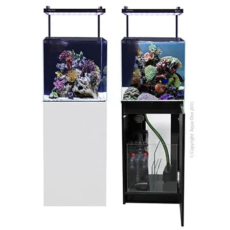Mini Reef 90