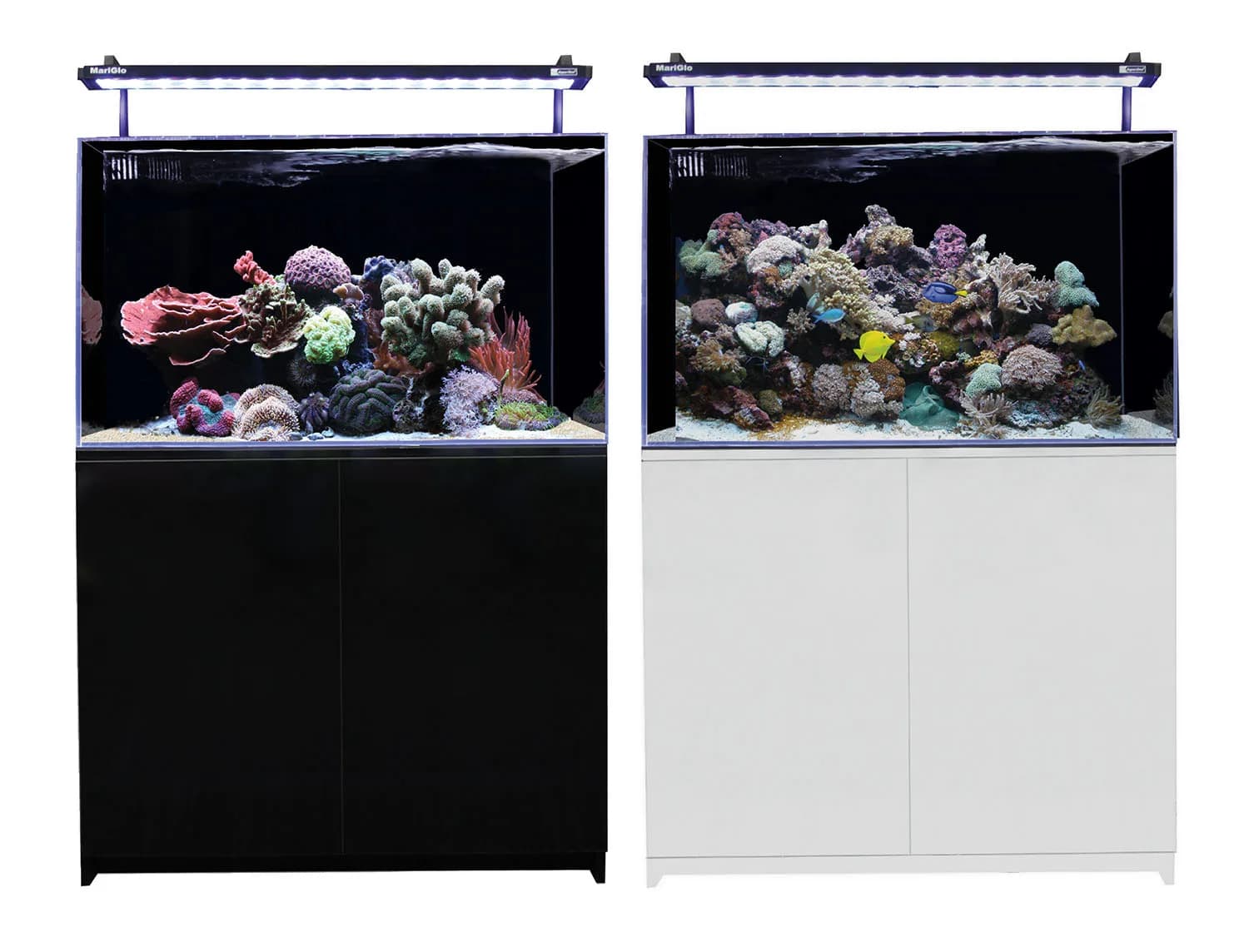 Mini Reef 160