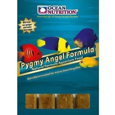 Pygmy Angel Formula