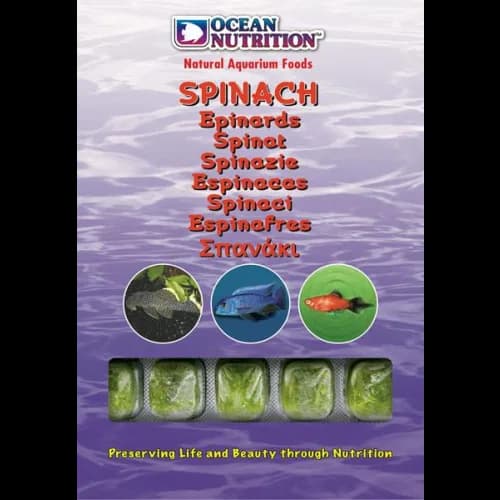 Frozen Spinach