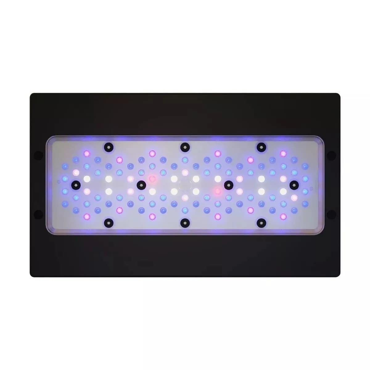 Radion XR30 G6 Blue