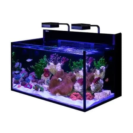 Max Nano G2 XXL
