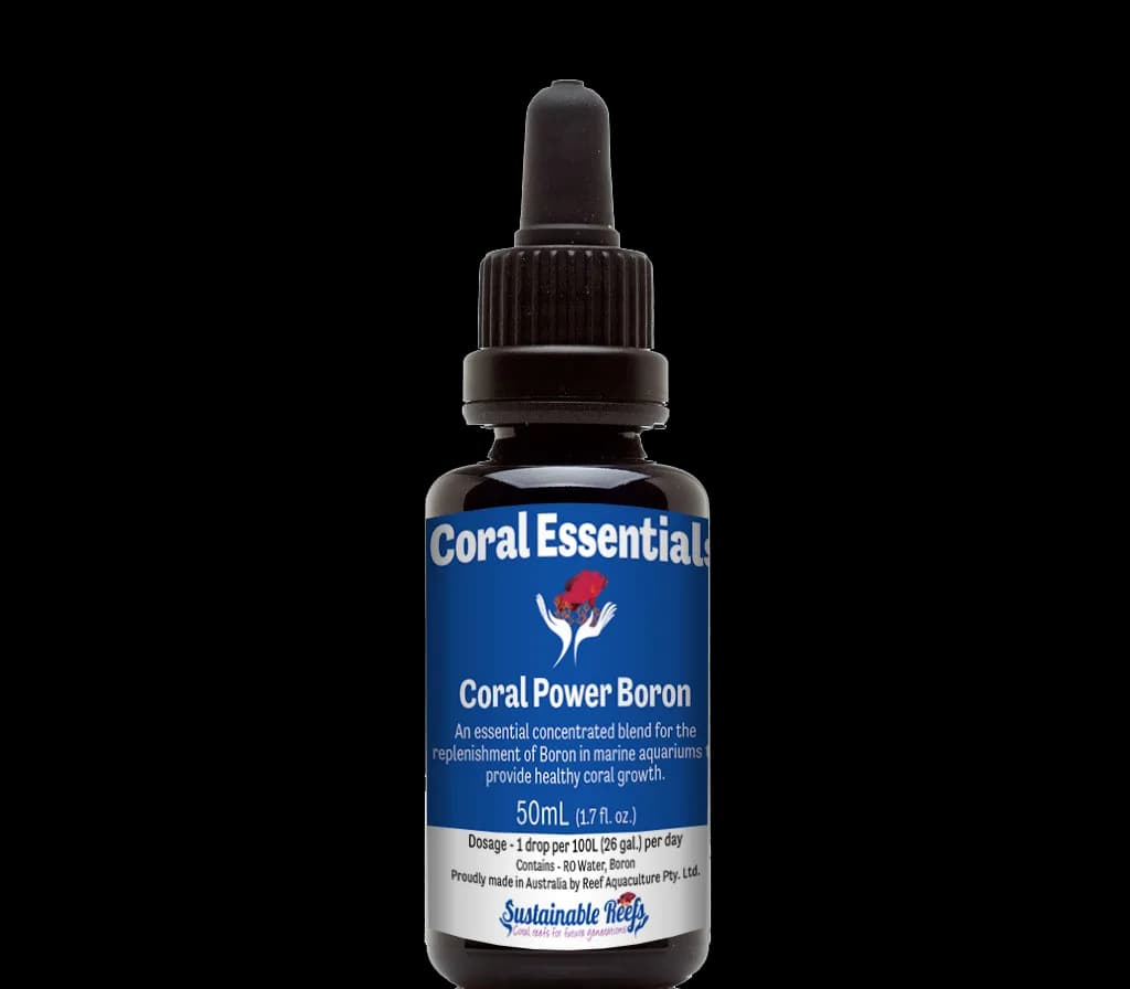 Coral Power Boron