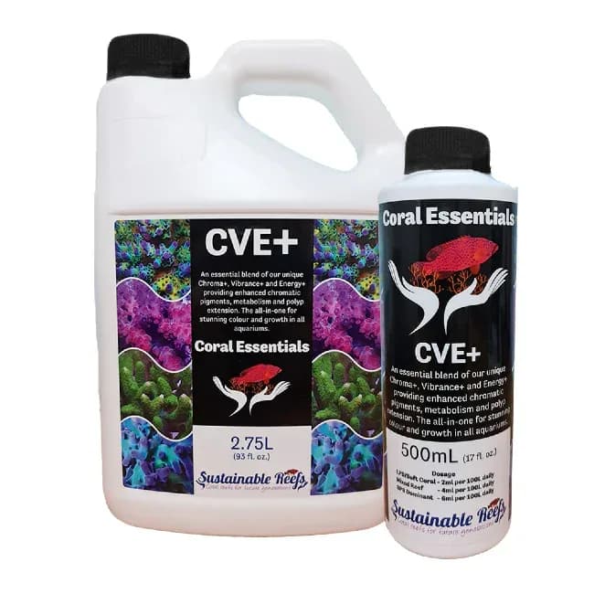 CVE+
