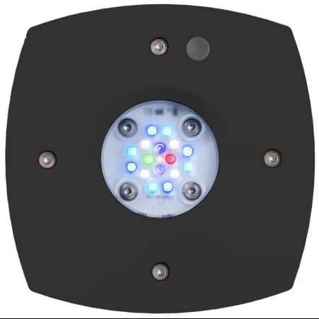 AI Prime 16 HD