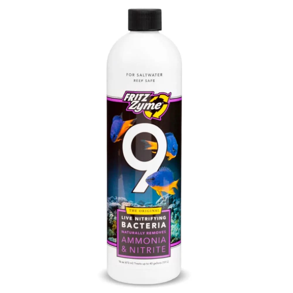 Fritz Zyme 9