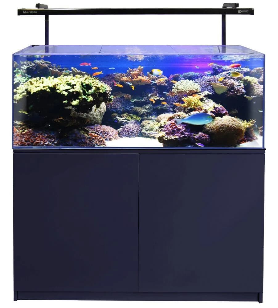Mini Reef 215
