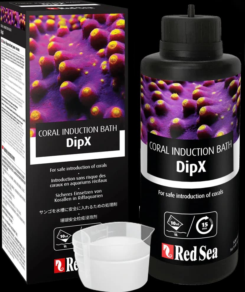 Red Sea DipX