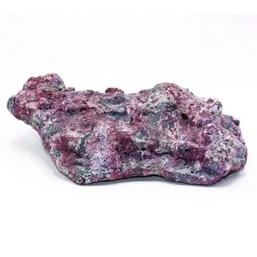 Reef Plates