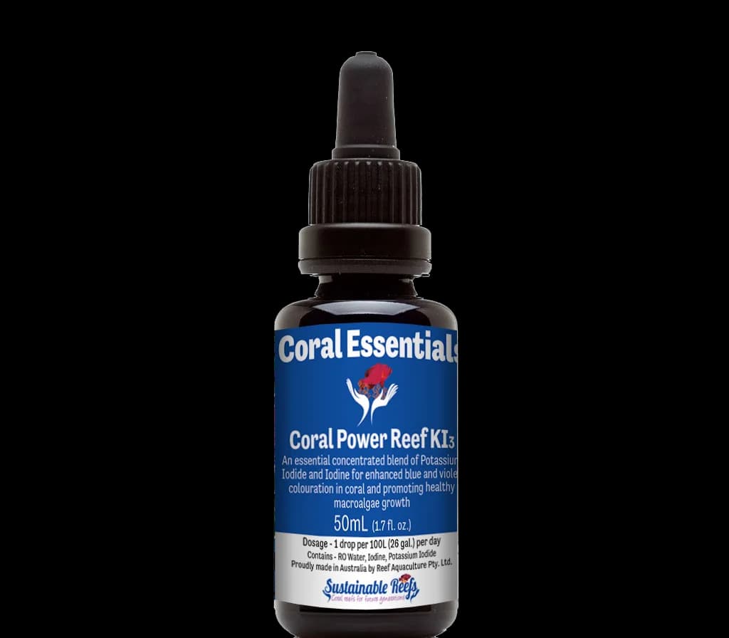 Coral Power Reef KI3