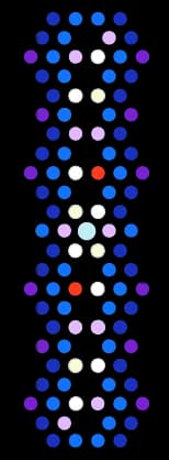 LEDs