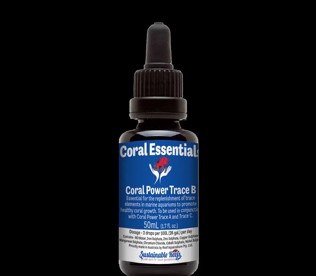 Coral Power Trace B