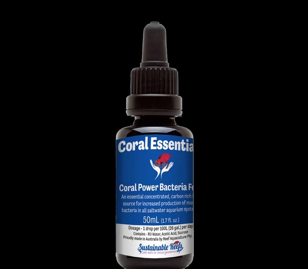 Coral Power Bacteria Food