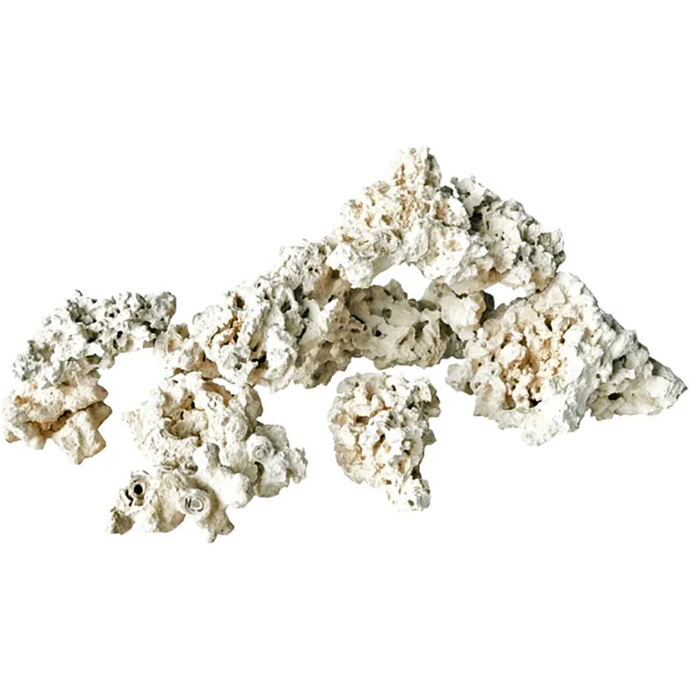 Reef Saver Rock